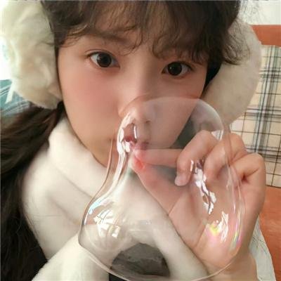 我的新拍档